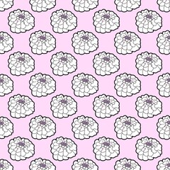 candytuft White Flower Violet background natural hand drawn seamless
