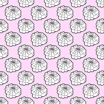 candytuft White Flower Violet background natural hand drawn seamless
