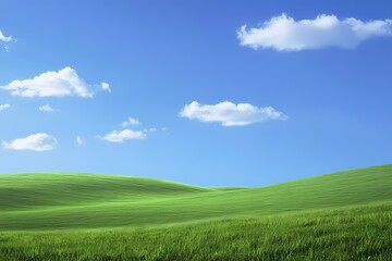 Fototapeta premium A vibrant green wheat field stretching into the distance under a clear blue sky . 