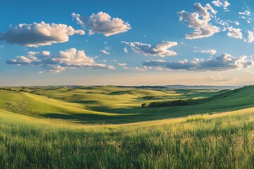 Obraz premium A vibrant green wheat field stretching into the distance under a clear blue sky . 