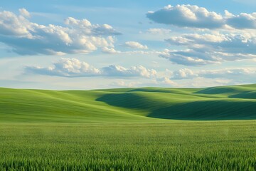 Obraz premium A vibrant green wheat field stretching into the distance under a clear blue sky . 
