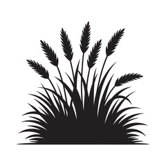 Detailed silhouette vector illustration of wheat or cereal grain stalks and grass
