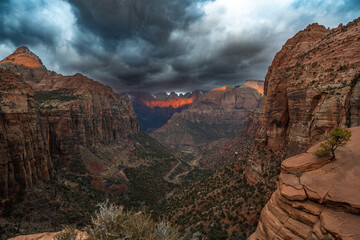 Zion national park, Utah