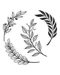 Obraz premium A collection of four delicate, hand-drawn botanical branches in black ink on a white background, showcasing leaves and berries