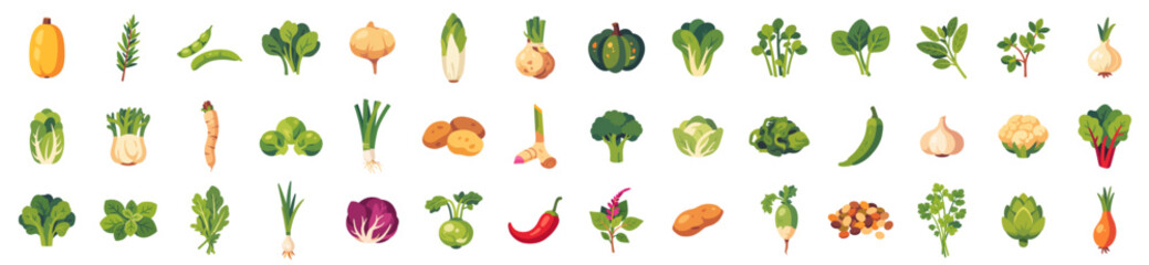 Large collection of colorful vegetable icons, isolated flat style vector illustration