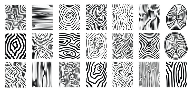 Wood lines texture material doodle hand drawn line set. Rings and circles tree trunk geometric curve, wave contour. 