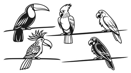 Fototapeta premium Vector illustration black and white illustration of various colorful parrot species perched on branches