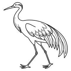 Fototapeta premium Vector illustration a black and white line drawing of a walking crane with detailed feathers and long neck and legs
