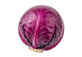 Obraz premium Whole head of vibrant red cabbage sits isolated against a white background