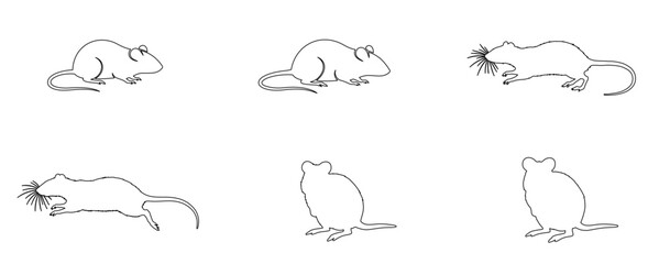 Rat Icons Set – Stroke Style Line Art Vector Symbols