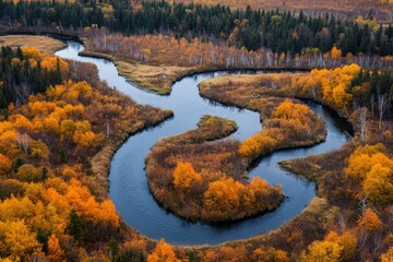 Aerial view of a snaking river cutting through a vibrant autumn forest landscape