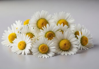 Obraz premium Cluster of white and yellow daisy blossoms rests upon a smooth, light surface
