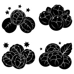 Black Cabbage Silhouettes with Stars on White Background vegetable leafy