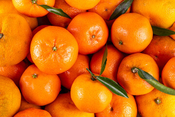 Fresh tangerines, mandarin clementines, raw farm organic citrus fruits, with stems and leaves, for sale at market 
