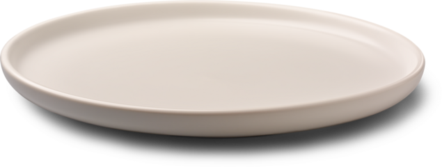 empty matte white ceramic plate with round rim isolated white background with soft shadow, restaurant branding or tableware mock-up template