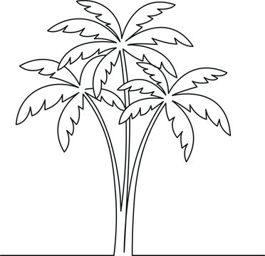 Vector illustration of a palm tree. Plam tree line art vector isolated on a white background
