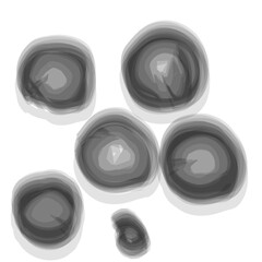 Brush Art Circle Set – Hand-Painted Abstract Round Strokes