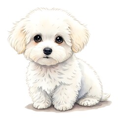 Obraz premium Cute fluffy white bichon frise puppy illustration isolated on white background