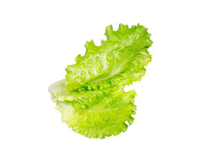 lettuce Salad green leaves cut out.
