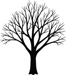 Leafless Winter Tree Silhouette