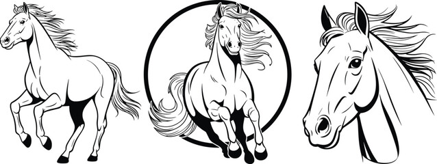 artistic horse illustrations featuring galloping, leaping, and portrait poses in dynamic black-and-white vector style for equine-themed design