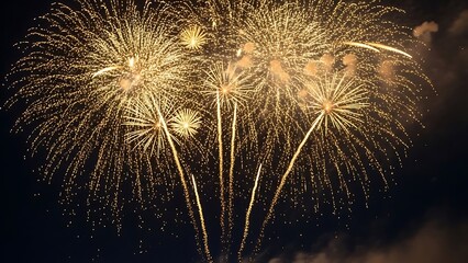 Golden fireworks illuminating the night sky