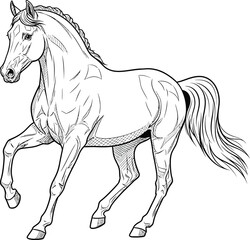 Elegant Horse Line Art Illustration