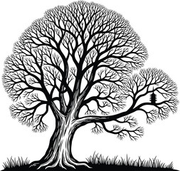 Bare Tree With Branches Detailed Vector