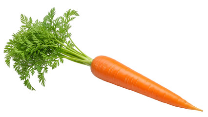 Fresh orange carrot isolated on transparent background