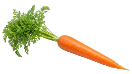 Fresh orange carrot isolated on transparent background