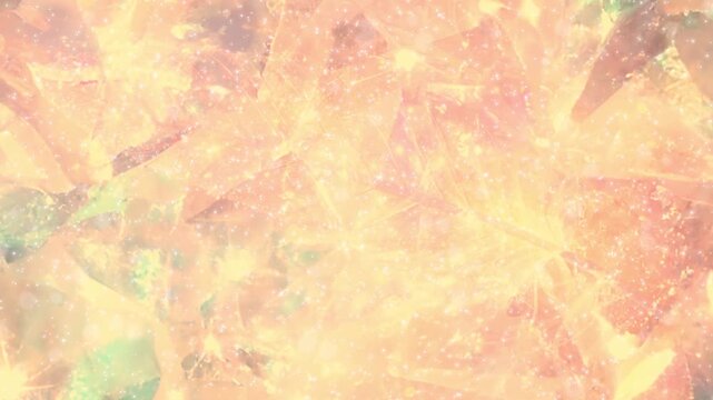 羽 キラキラ パーティクルBG270_03