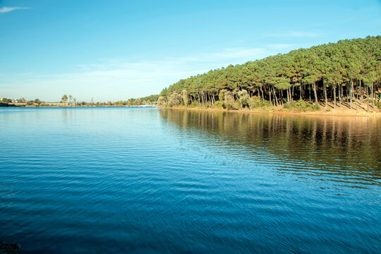 landscape with lake and forest, aydos forest istanbul