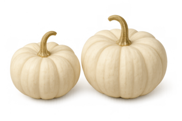 White pumpkins for autumn harvest season decorating, halloween, and thanksgiving, isolated on transparent background