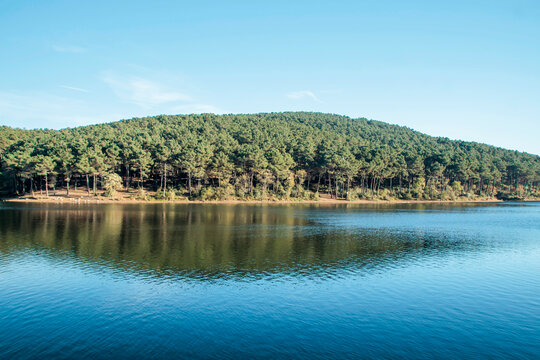 landscape with lake and forest, aydos forest istanbul