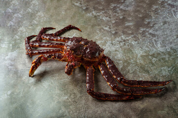 This stunning creature captures attention with its robust claws and spiny shell. Set against a subtle backdrop, it exudes raw beauty and strength, sparking curiosity about ocean life