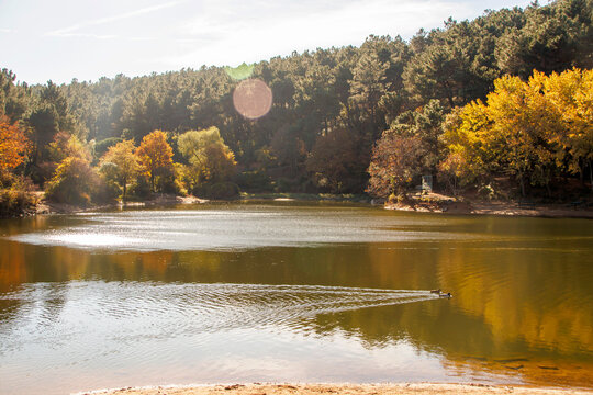 autumn landscape with lake and forest, aydos forest istanbul