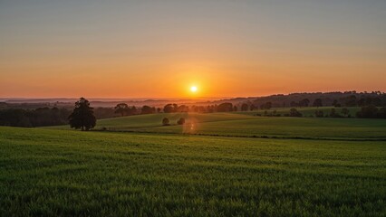 Sunrise over green fields and trees with sunset sky and horizon. Rural landscape and natural scenery. The scene of peace, nature, and fresh air.