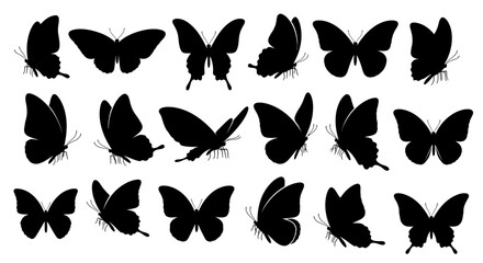 Fototapeta premium Collection of silhouetted butterfly wing designs in various poses