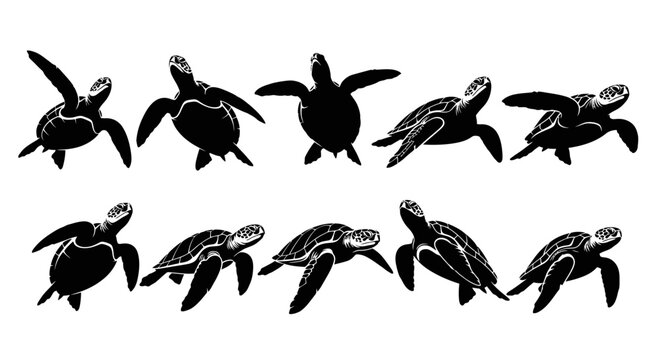 Collection of silhouetted sea turtles in various poses and movements