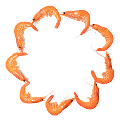 shrimp on a white background