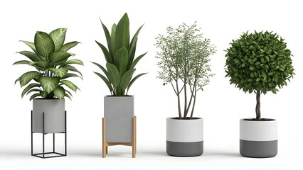 A collection of four diverse potted plants in modern grey and white planters against a white background