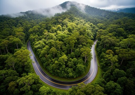 Winding road through lush rainforest leading to misty mountain peak - Powered by Adobe