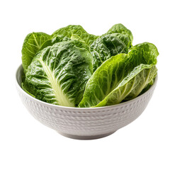 Fresh spinach bowl kitchen food home aesthetic Isolated transparent on white background