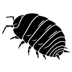 Beetle Silhouette Icon – Insect Bug Minimal Black Vector Illustration