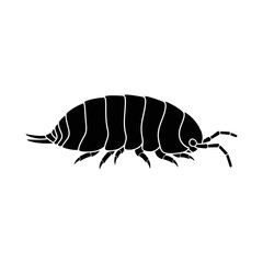 Beetle Silhouette Icon – Insect Bug Minimal Black Vector Illustration