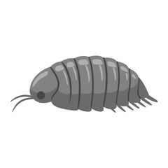 Pill Bug Illustration – Isopod Woodlouse Roly Poly Vector Icon