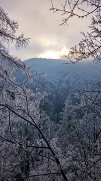 A frosty winter hike to Tomasovsky view, a stunning rock formation offering breathtaking vistas in Slovensky Raj National Park, Slovakia