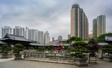 Diamond Hill, Kowloon, Hong Kong : bonsai garden of Chi Lin Nunnery framed by dense modern residential towers under overcast sky