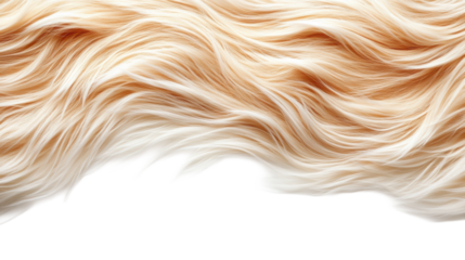 Flowing Hair Texture on Transparent Background