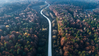 Aerial view of a winding highway cutting through a dense autumn forest landscape